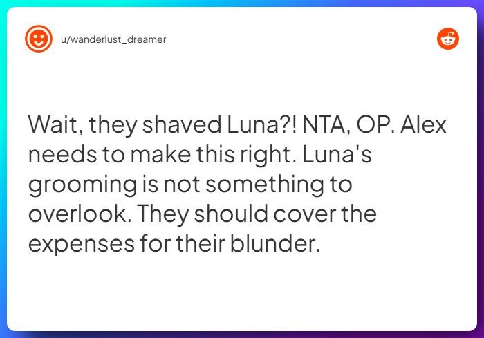 Comment from u/wanderlust_dreamer