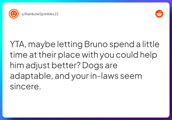 Comment from u/RainbowSprinkles23