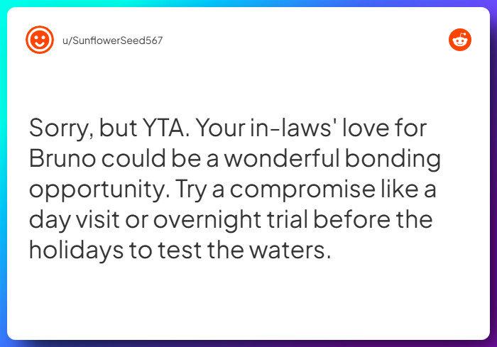 Comment from u/SunflowerSeed567