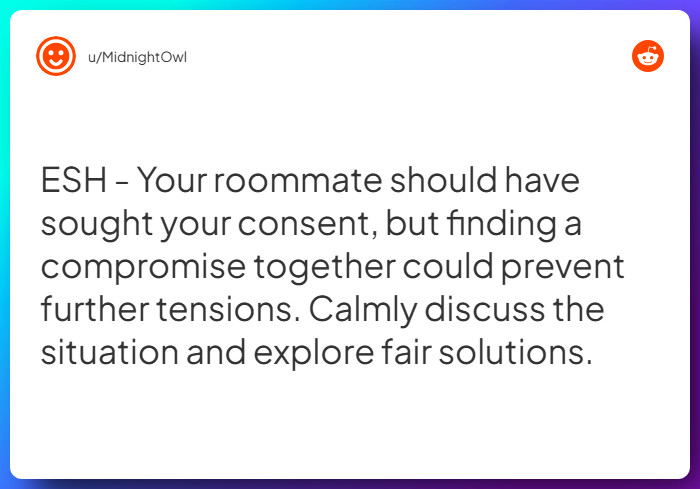 Comment from u/MidnightOwl