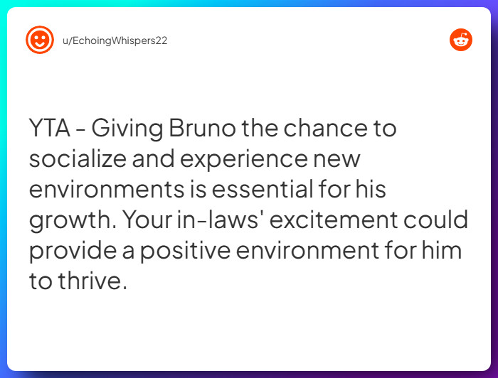 Comment from u/EchoingWhispers22