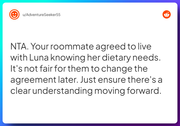 Comment from u/AdventureSeeker55