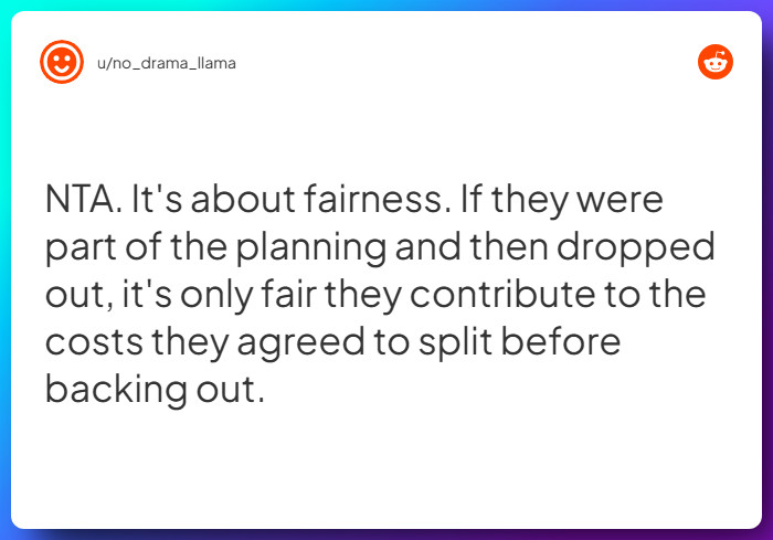 Comment from u/no_drama_llama