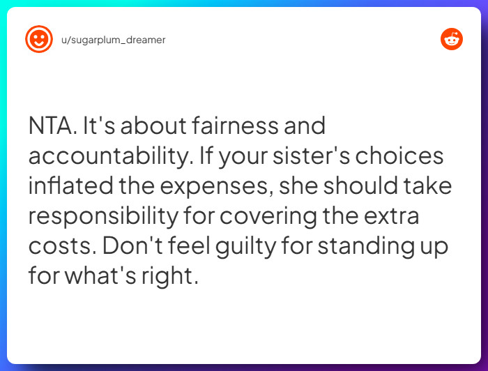 Comment from u/sugarplum_dreamer