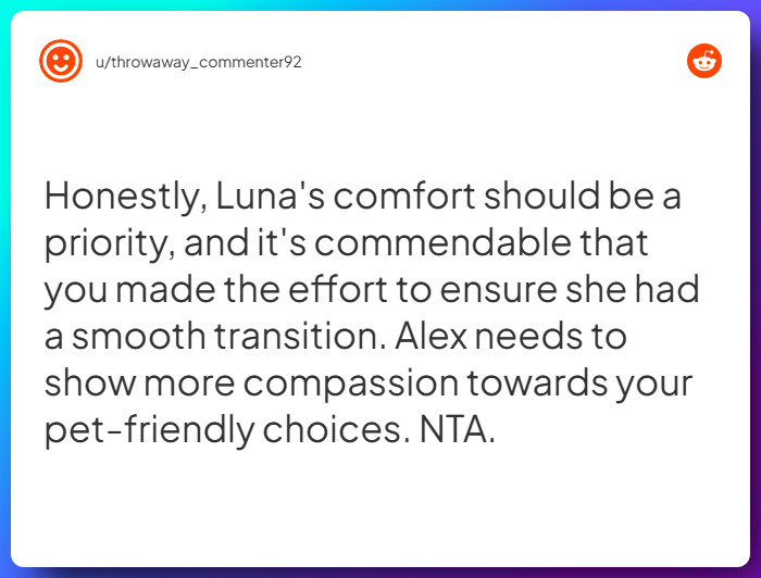 Comment from u/throwaway_commenter92