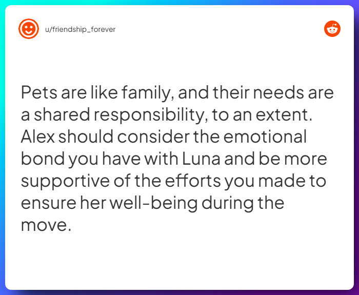 Comment from u/friendship_forever