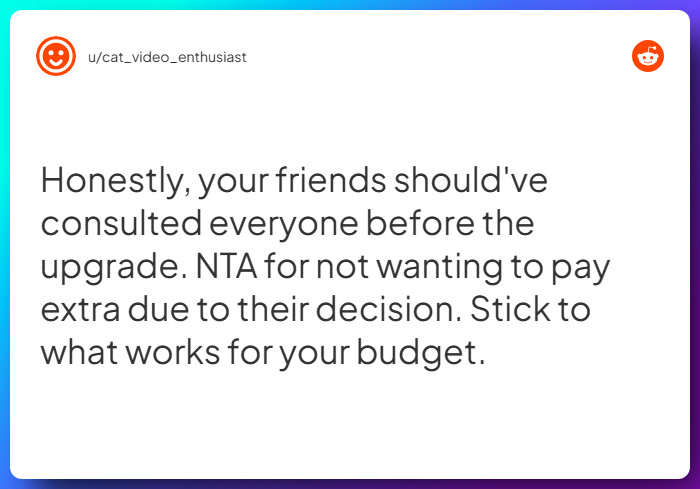 Comment from u/cat_video_enthusiast