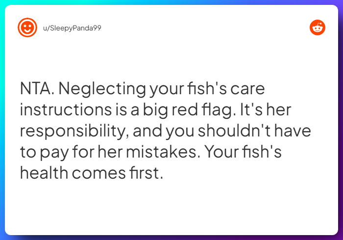 Comment from u/SleepyPanda99