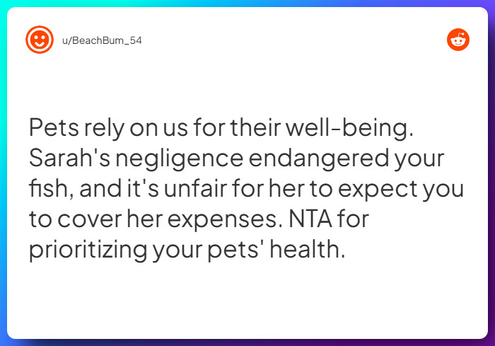 Comment from u/BeachBum_54