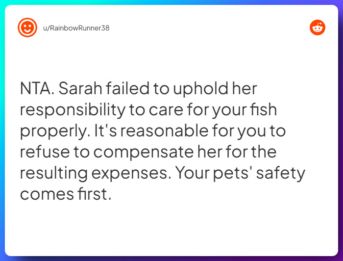 Comment from u/RainbowRunner38