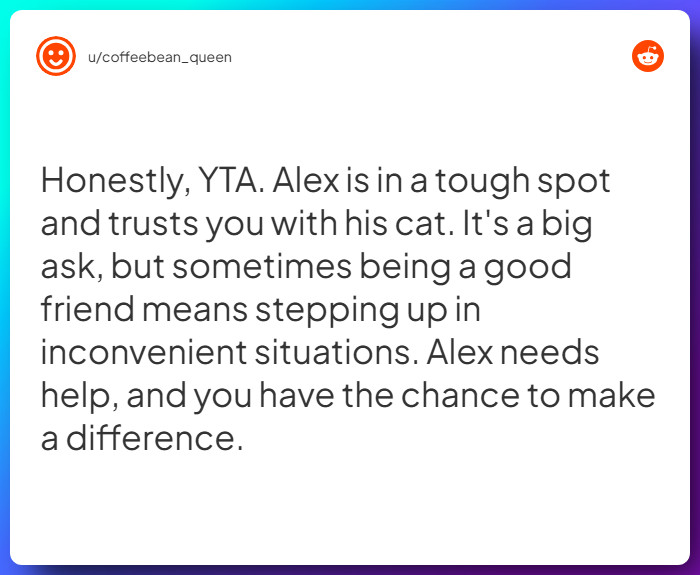 Comment from u/coffeebean_queen