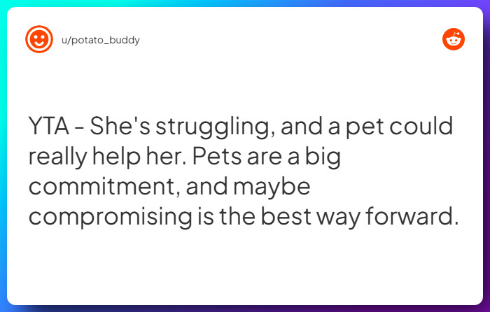 Comment from u/potato_buddy