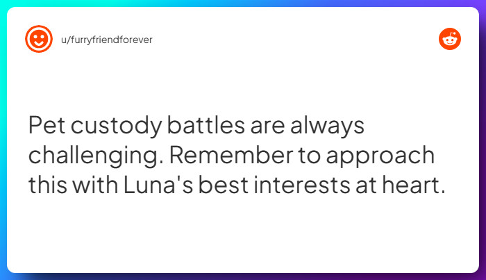 Comment from u/furryfriendforever