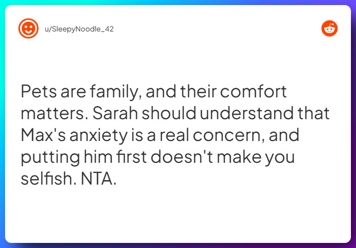 Comment from u/SleepyNoodle_42