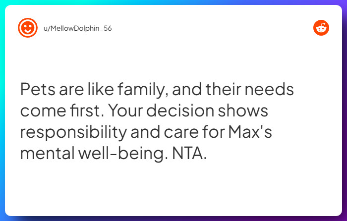 Comment from u/MellowDolphin_56