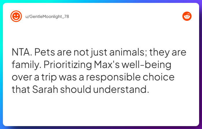 Comment from u/GentleMoonlight_78