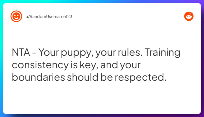 Comment from u/RandomUsername123