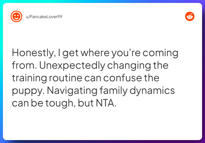 Comment from u/PancakeLover99