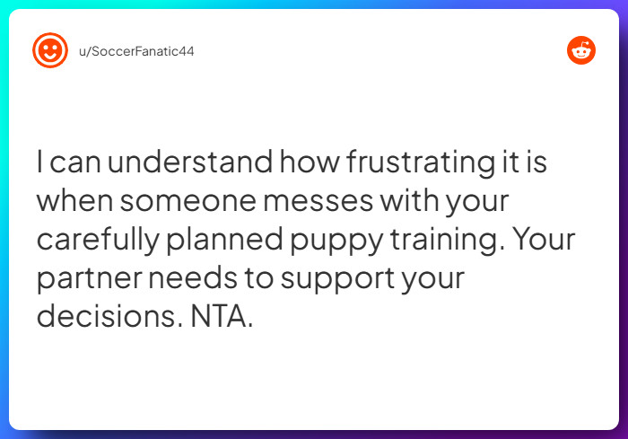 Comment from u/SoccerFanatic44