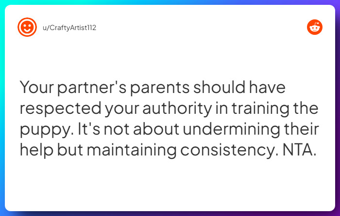 Comment from u/CraftyArtist112