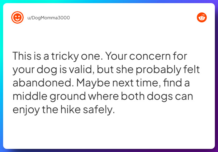 Comment from u/DogMomma3000