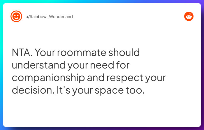 Comment from u/Rainbow_Wonderland