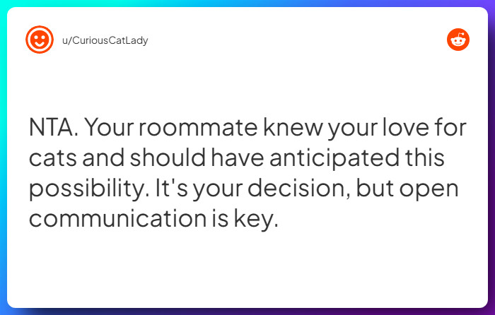 Comment from u/CuriousCatLady