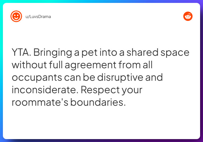 Comment from u/LuvsDrama