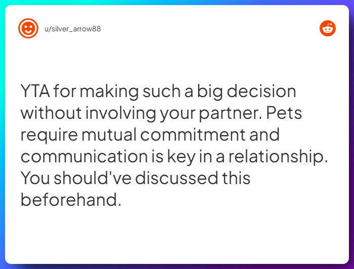 Comment from u/silver_arrow88