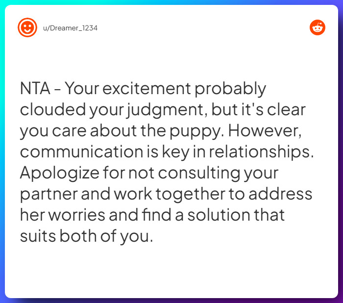 Comment from u/Dreamer_1234