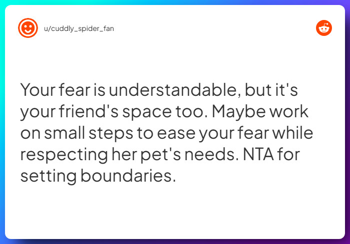 Comment from u/cuddly_spider_fan