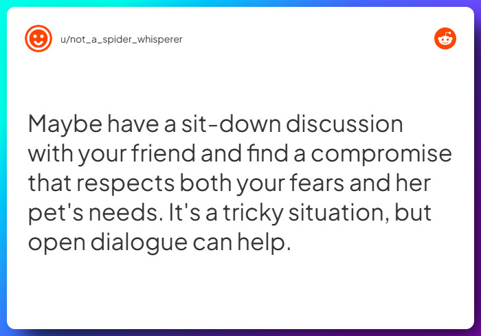 Comment from u/not_a_spider_whisperer