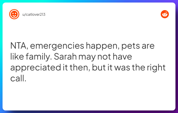 Comment from u/catlover213