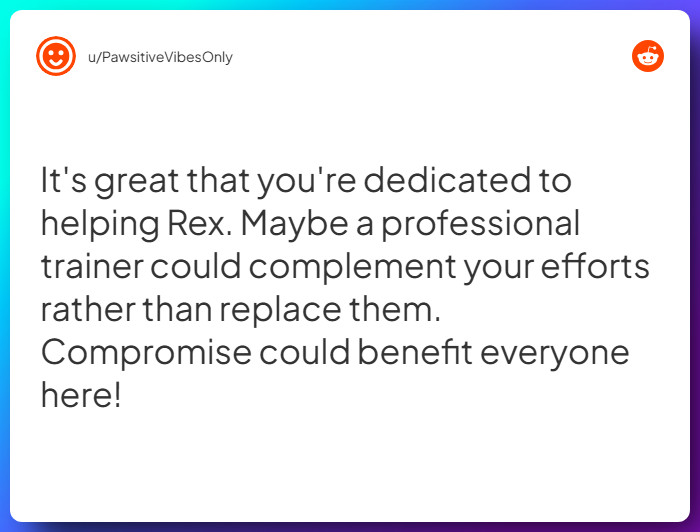 Comment from u/PawsitiveVibesOnly