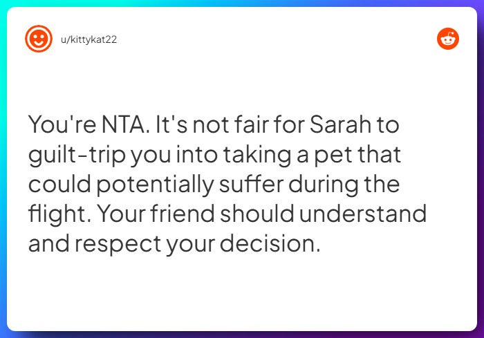 Comment from u/kittykat22