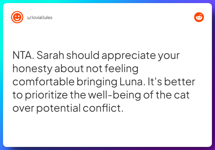 Comment from u/JovialJules