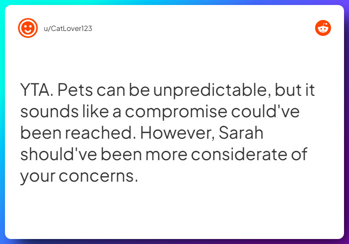 Comment from u/CatLover123