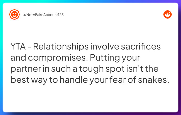 Comment from u/NotAFakeAccount123