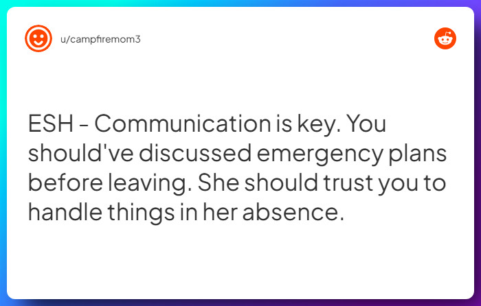 Comment from u/campfiremom3