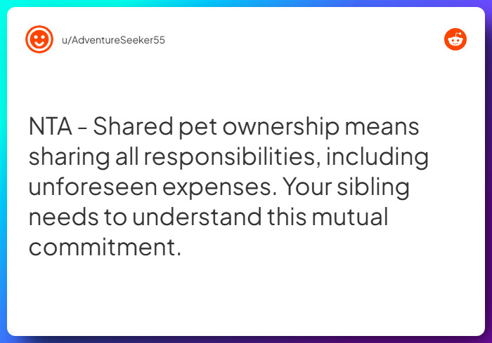 Comment from u/AdventureSeeker55