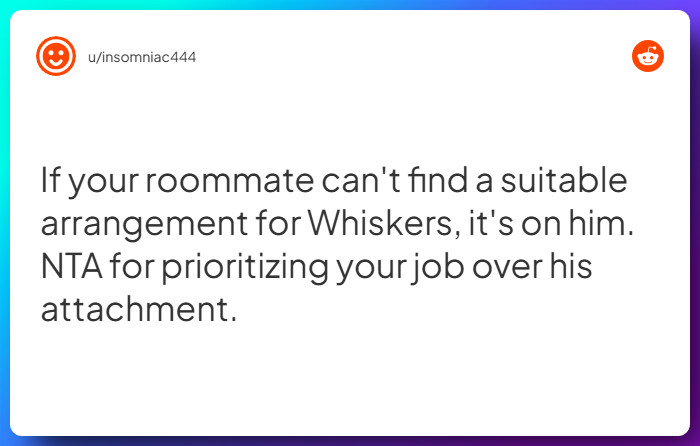 Comment from u/insomniac444