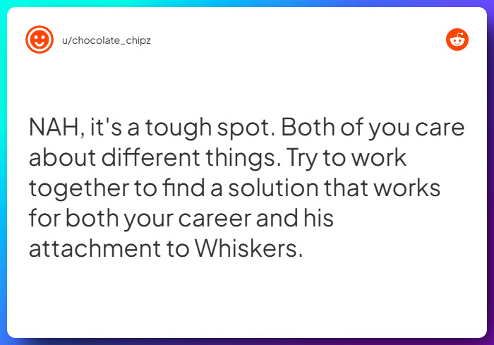 Comment from u/chocolate_chipz