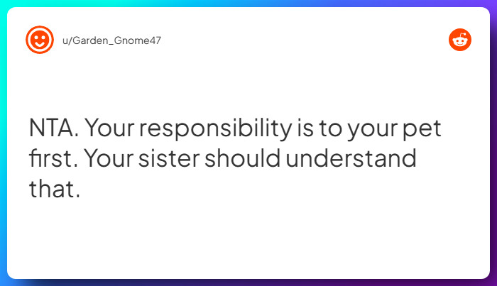 Comment from u/Garden_Gnome47