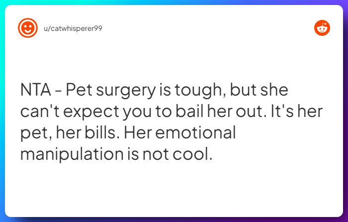 Comment from u/catwhisperer99