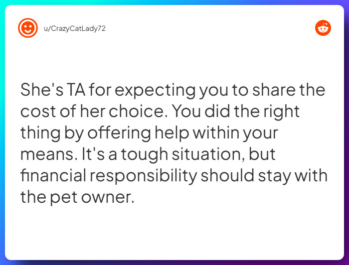 Comment from u/CrazyCatLady72