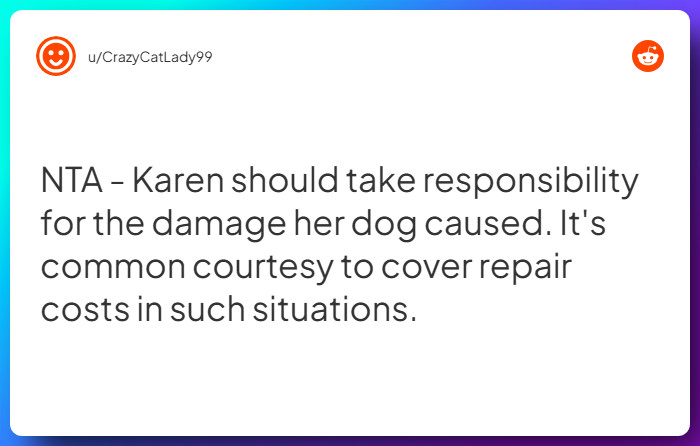 Comment from u/CrazyCatLady99