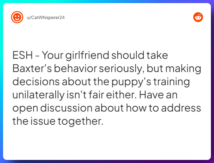 Comment from u/CatWhisperer24