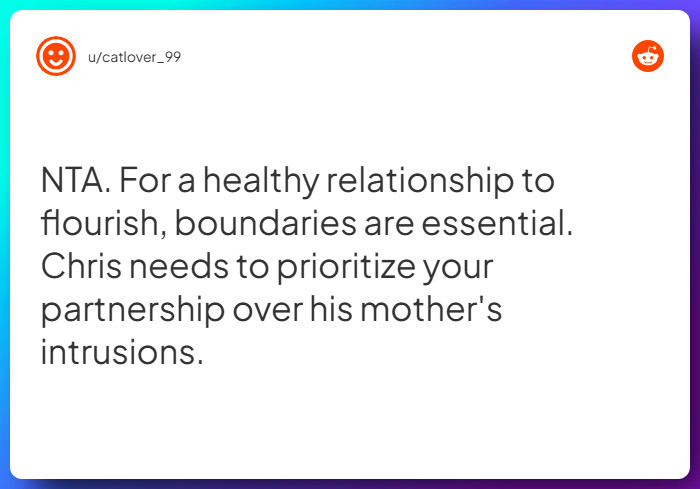 Comment from u/catlover_99