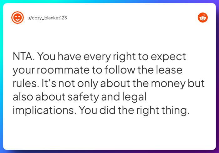 Comment from u/cozy_blanket123