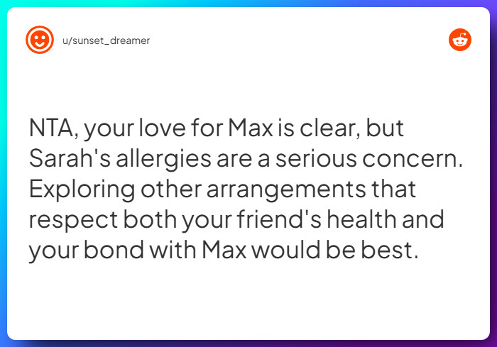 Comment from u/sunset_dreamer